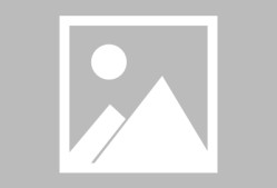 南宫28-包含字母哥新星重要助攻表现突出，篮网前途光明！气势如虹延续的词条