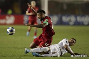 南宫28-西亚卡姆爆冷击败加拿大队，回归赛场引爆全场！的简单介绍