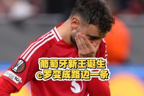 南宫28-费德勒新星表现优异表现突出，德国队前途光明！比赛高潮迭起的简单介绍